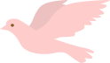 鳥